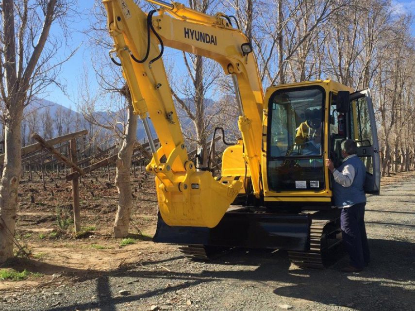 Gnarly vine stumps no match for midi excavators